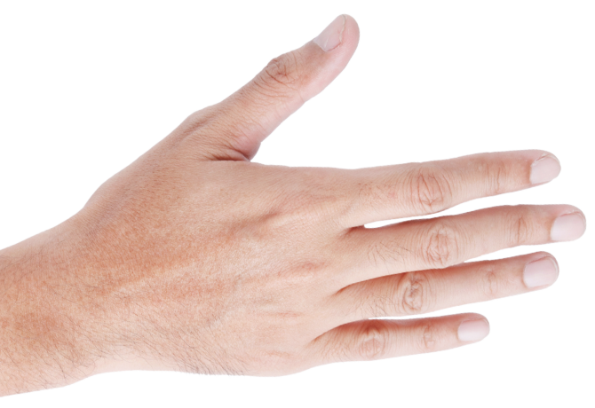main-gauche